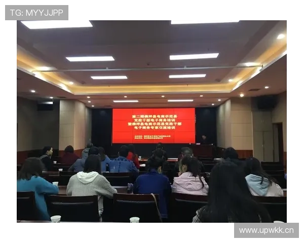 打造电商帝国之路：从创业初心到行业领袖的成功秘诀揭秘