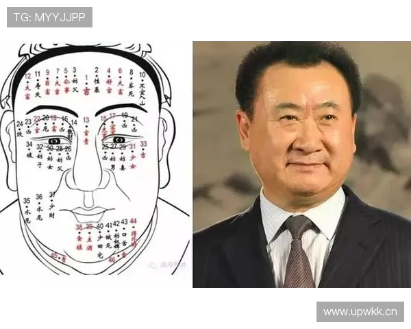 企业家面相解析:如何通过面相识别商业领袖的成功潜力与个人特质 企业家面相解析:如何通过面相识别商业领袖的成功潜力与个人特质