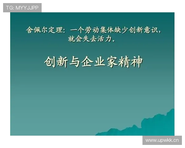 企业家精神在现代商业环境中的核心价值与实践路径探析